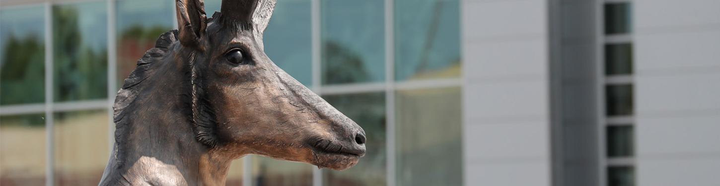 a photo of a bronze statue of a pronghorn on 365体育's campus